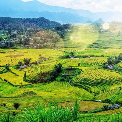 SAPA - MÙ CANG CHẢI